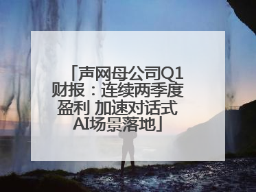 声网母公司Q1财报：连续两季度盈利 加速对话式AI场景落地