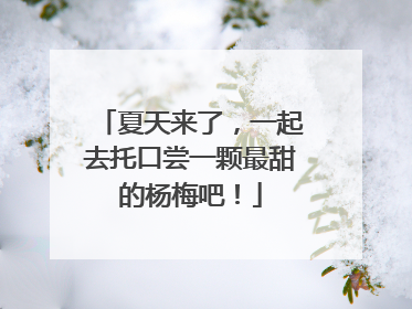 夏天来了，一起去托口尝一颗最甜的杨梅吧！