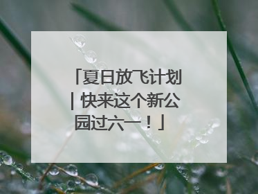夏日放飞计划｜快来这个新公园过六一！