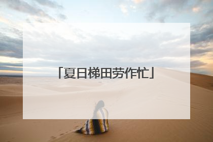 夏日梯田劳作忙