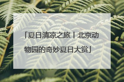 夏日清凉之旅丨北京动物园的奇妙夏日大赏