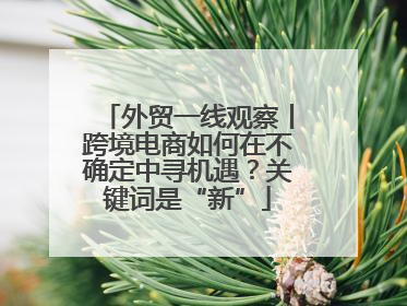 外贸一线观察丨跨境电商如何在不确定中寻机遇？关键词是“新”