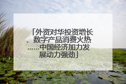 外资对华投资增长、数字产品消费火热……中国经济加力发展动力强劲