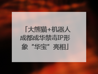 大熊猫+机器人 成都成华禁毒IP形象“华宝”亮相