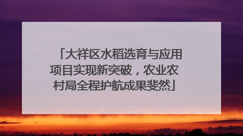 大祥区水稻选育与应用项目实现新突破，农业农村局全程护航成果斐然