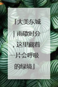 大美东城｜雨歇时分，这里藏着一片会呼吸的绿境