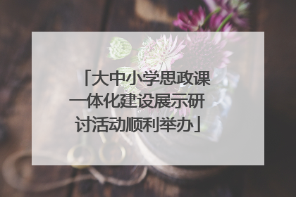大中小学思政课一体化建设展示研讨活动顺利举办