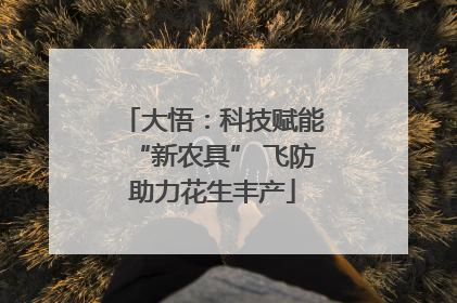 大悟：科技赋能“新农具” 飞防助力花生丰产