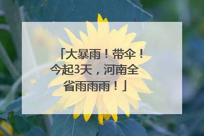 大暴雨！带伞！今起3天，河南全省雨雨雨！