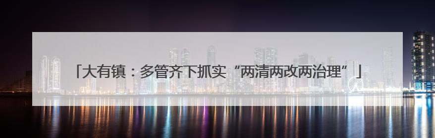大有镇：多管齐下抓实“两清两改两治理”