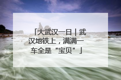 大武汉一日｜武汉地铁上，满满一车全是“宝贝”