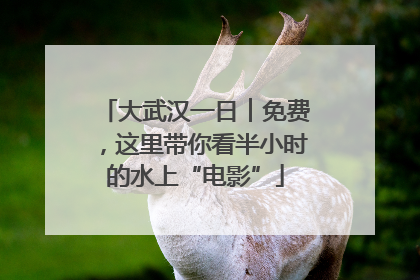 大武汉一日︱免费，这里带你看半小时的水上“电影”