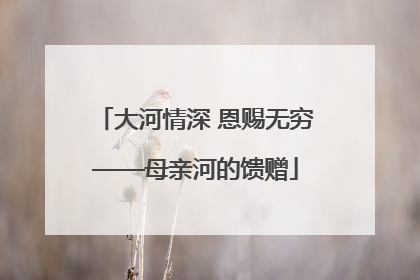 大河情深 恩赐无穷——母亲河的馈赠