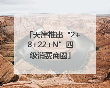 天津推出“2+8+22+N”四级消费商圈