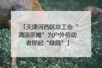 天津河西区总工会“清凉茶摊”为户外劳动者撑起“绿荫”