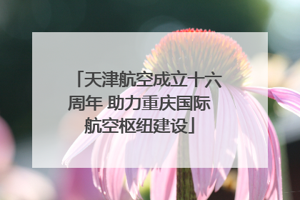 天津航空成立十六周年 助力重庆国际航空枢纽建设