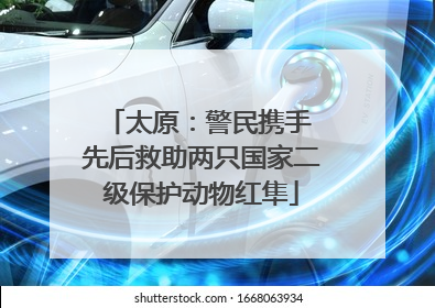 太原：警民携手 先后救助两只国家二级保护动物红隼