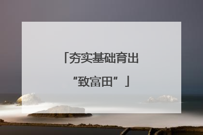 夯实基础育出“致富田”