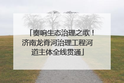 奏响生态治理之歌！济南龙脊河治理工程河道主体全线贯通
