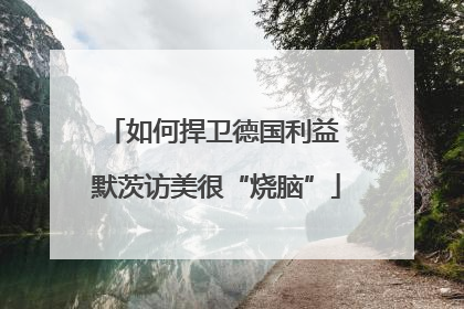 如何捍卫德国利益 默茨访美很“烧脑”