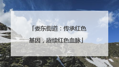 娄东街道：传承红色基因，赓续红色血脉