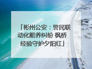 彬州公安：警民联动化赡养纠纷 枫桥经验守护夕阳红