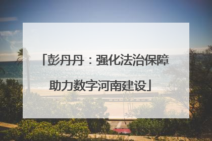 彭丹丹：强化法治保障 助力数字河南建设