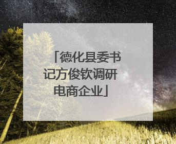 德化县委书记方俊钦调研电商企业