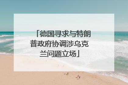德国寻求与特朗普政府协调涉乌克兰问题立场