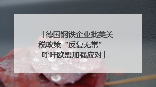 德国钢铁企业批美关税政策“反复无常” 呼吁欧盟加强应对