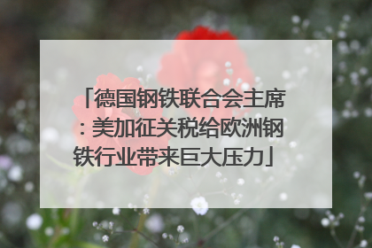 德国钢铁联合会主席：美加征关税给欧洲钢铁行业带来巨大压力