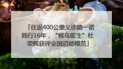 往返400公里义诊路一诺践行16年，“候鸟医生”杜荣辉获评全国道德模范
