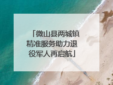 微山县两城镇精准服务助力退役军人再启航