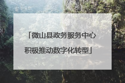 微山县政务服务中心积极推动数字化转型