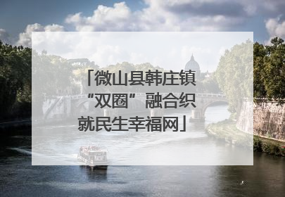 微山县韩庄镇“双圈”融合织就民生幸福网