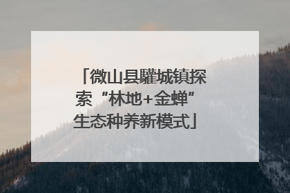微山县驩城镇探索“林地+金蝉”生态种养新模式