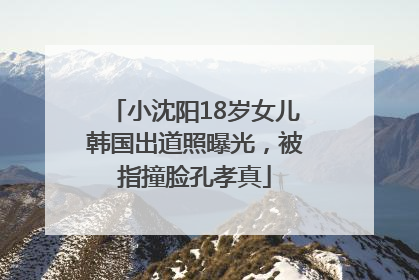 小沈阳18岁女儿韩国出道照曝光，被指撞脸孔孝真