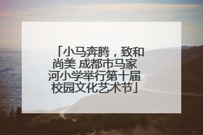 小马奔腾，致和尚美 成都市马家河小学举行第十届校园文化艺术节