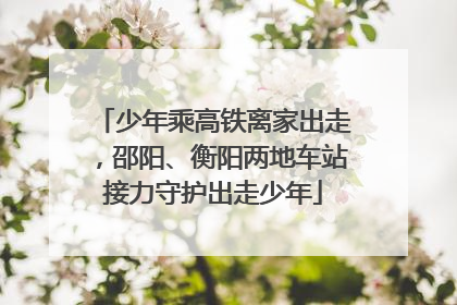 少年乘高铁离家出走，邵阳、衡阳两地车站接力守护出走少年
