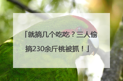 就摘几个吃吃？三人偷摘230余斤桃被抓！