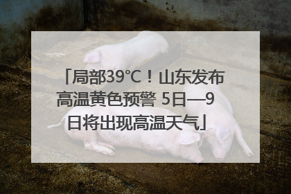 局部39℃！山东发布高温黄色预警 5日—9日将出现高温天气