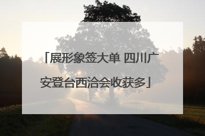 展形象签大单 四川广安登台西洽会收获多