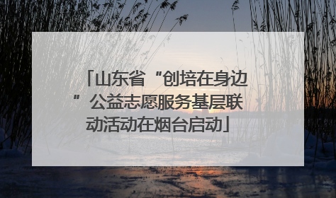 山东省“创培在身边”公益志愿服务基层联动活动在烟台启动