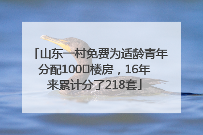 山东一村免费为适龄青年分配100㎡楼房，16年来累计分了218套