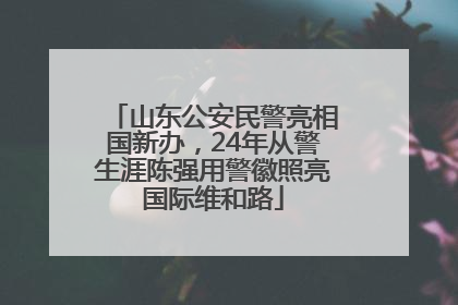 山东公安民警亮相国新办，24年从警生涯陈强用警徽照亮国际维和路