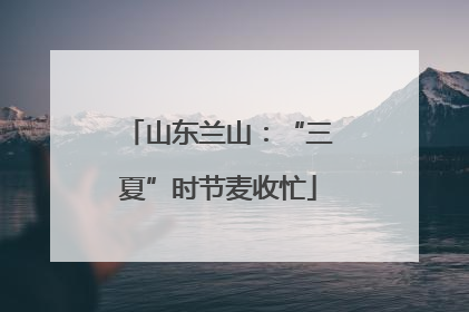 山东兰山：“三夏”时节麦收忙