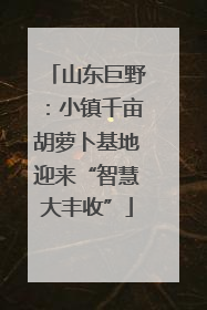山东巨野：小镇千亩胡萝卜基地迎来“智慧大丰收”