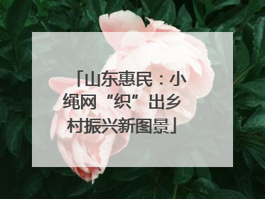 山东惠民：小绳网“织”出乡村振兴新图景