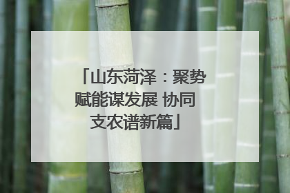 山东菏泽：聚势赋能谋发展 协同支农谱新篇