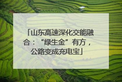 山东高速深化交能融合：“绿生金”有方，公路变成充电宝